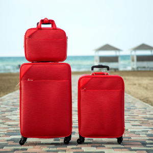 Travelling Bag